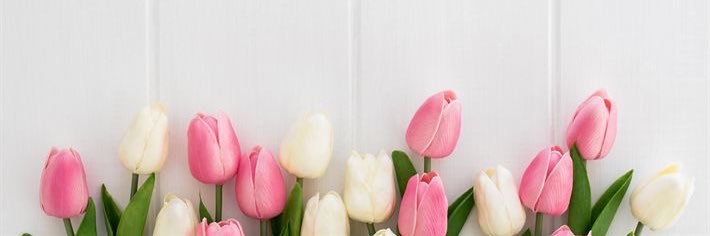 Nichole Ann Barot's banner
