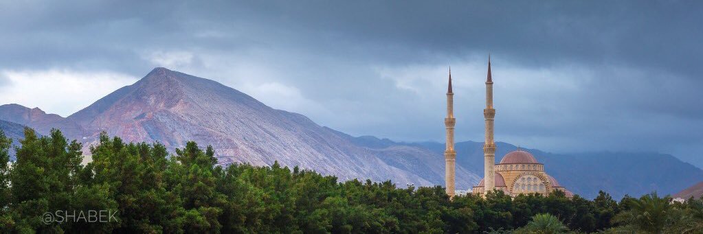 Ali Al Shidhani - علي الشيذاني's banner