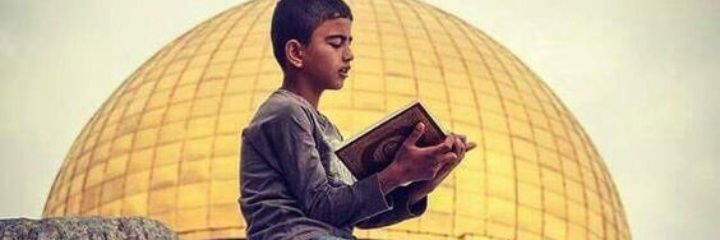 Fatma Er Akın 🇹🇷's banner