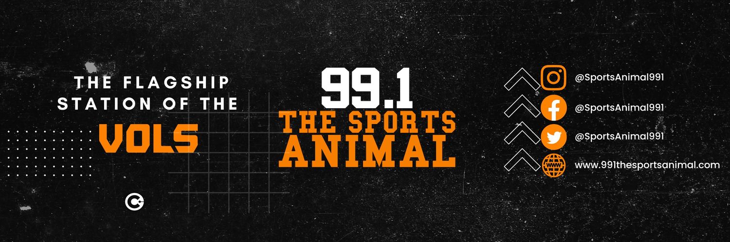 99.1 THE Sports Animal's banner