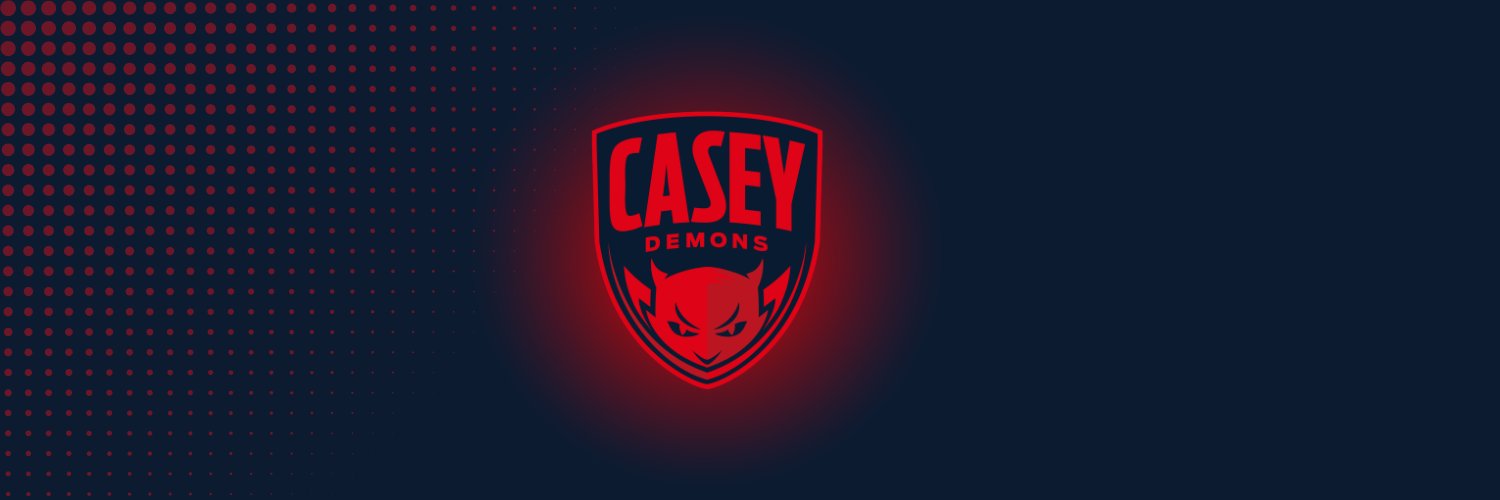 Casey Demons's banner