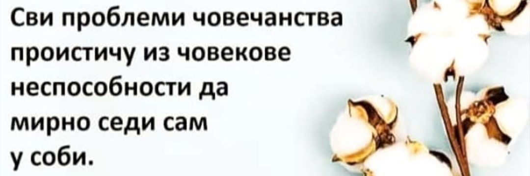 Ekova ruža's banner