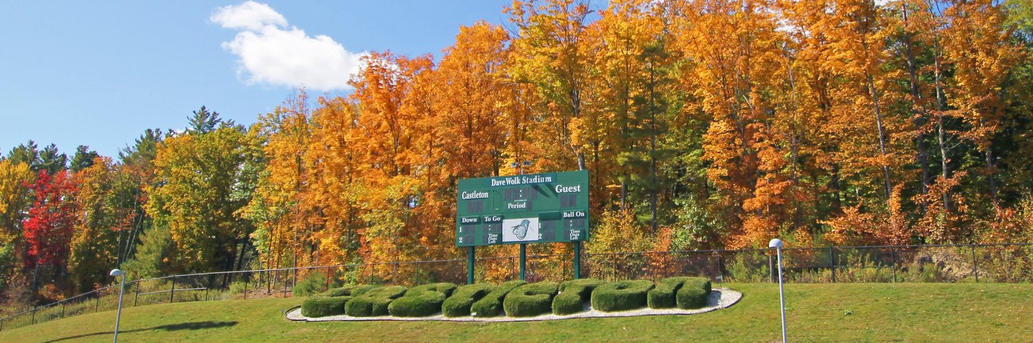Castleton Spartans's banner