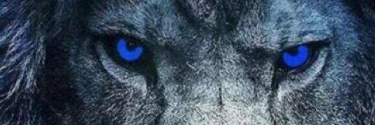 Fely 💤🇮🇹's banner