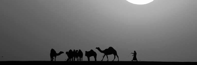 عتيق سيف السويدي's banner