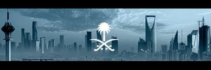 أونيكس | ONYX🚔's banner