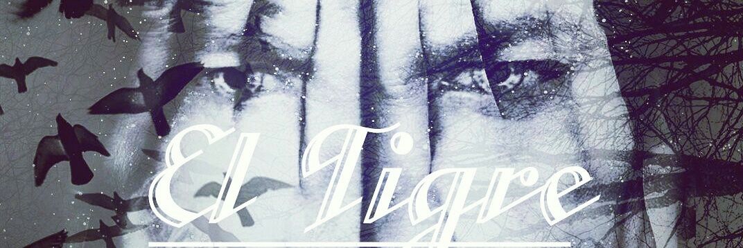 Alexis StripperShow 's banner