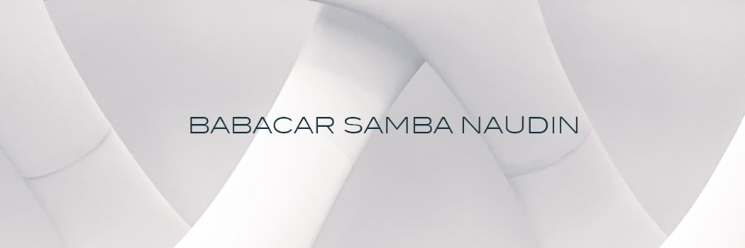 Babacar Samba Naudin 's banner