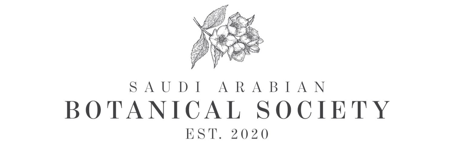 Munira Al Hazani's banner