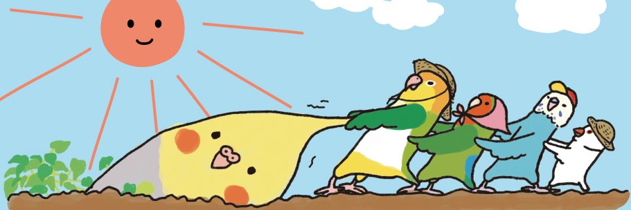 オグチヨーコ🐥's banner