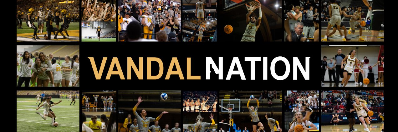 Vandal Nation's banner