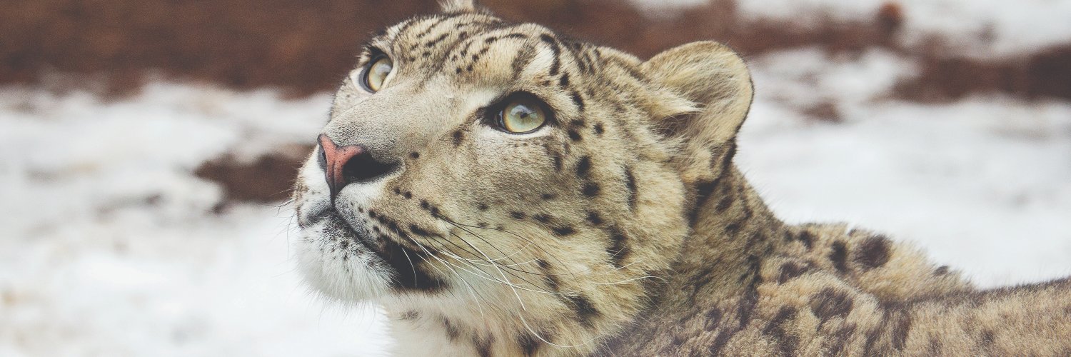 Philly Zoo's banner