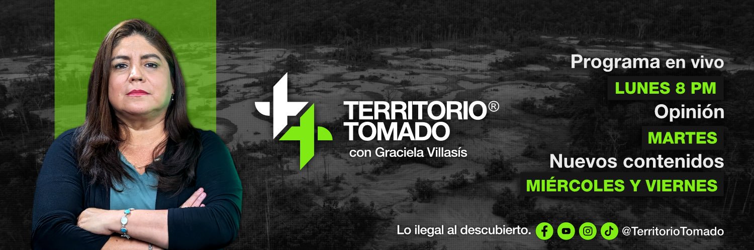 Graciela Villasís's banner