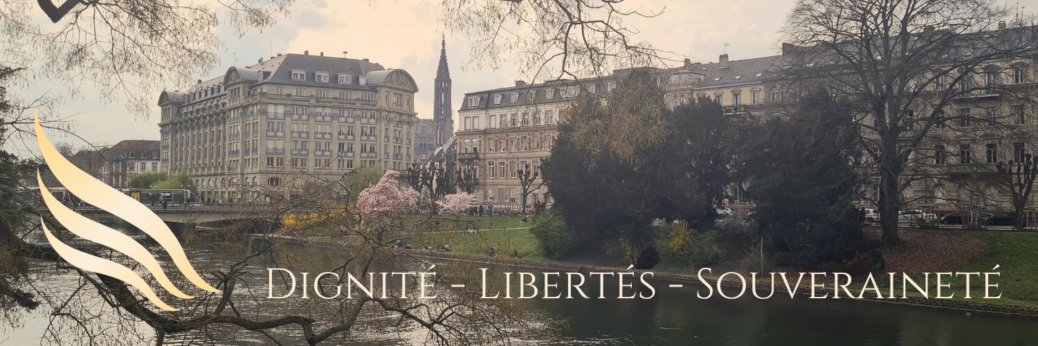 ECLJ - European Centre for Law & Justice's banner