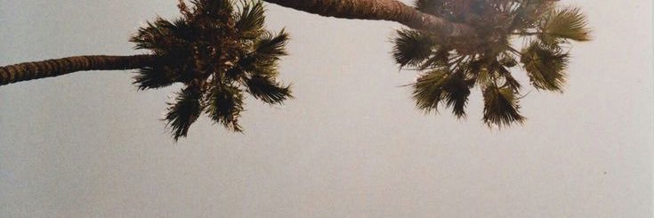 𝖌.'s banner