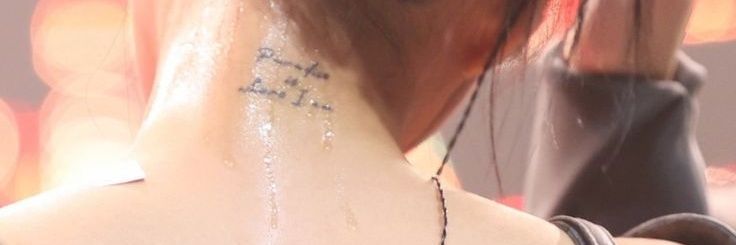 mel 🐢🍷🏁🪞⚔️🦋's banner