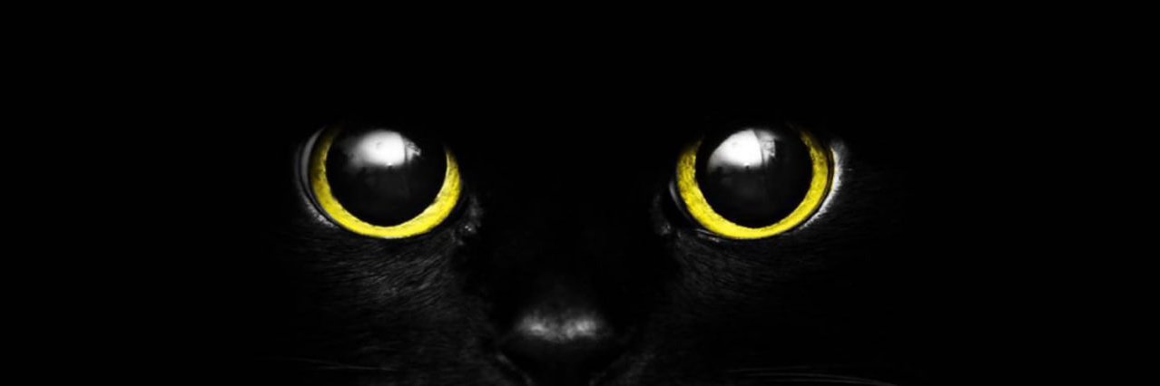 下体《迪克》's banner