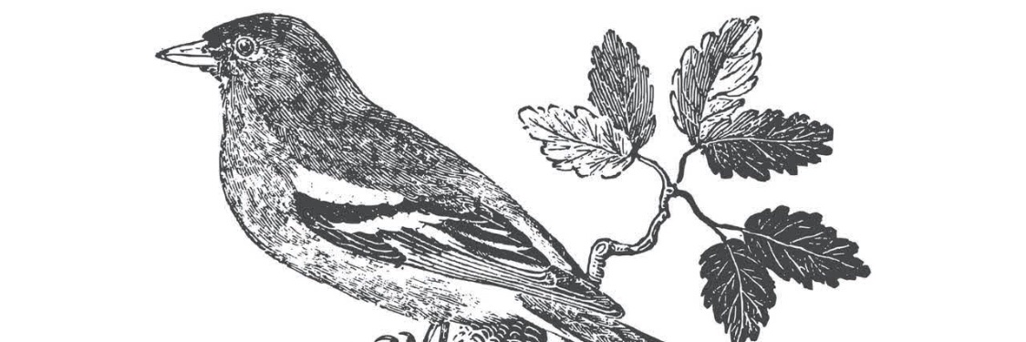 Sean Roberts's banner
