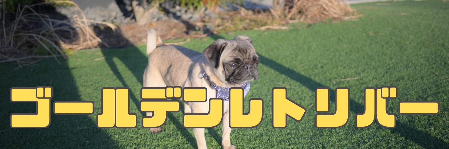 高須将大/肝臓がん's banner