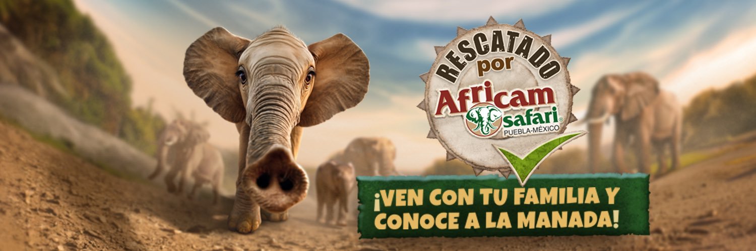 Africam Safari's banner