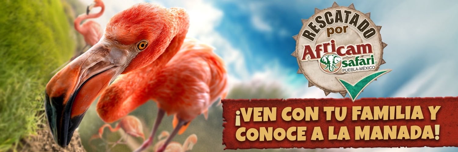 Africam Safari's banner