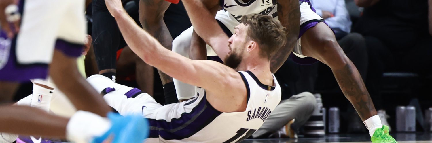 Domantas Sabonis's banner