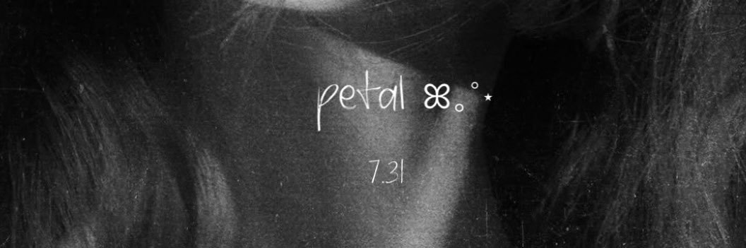мοи ϲнαяℓοττє 🖤's banner