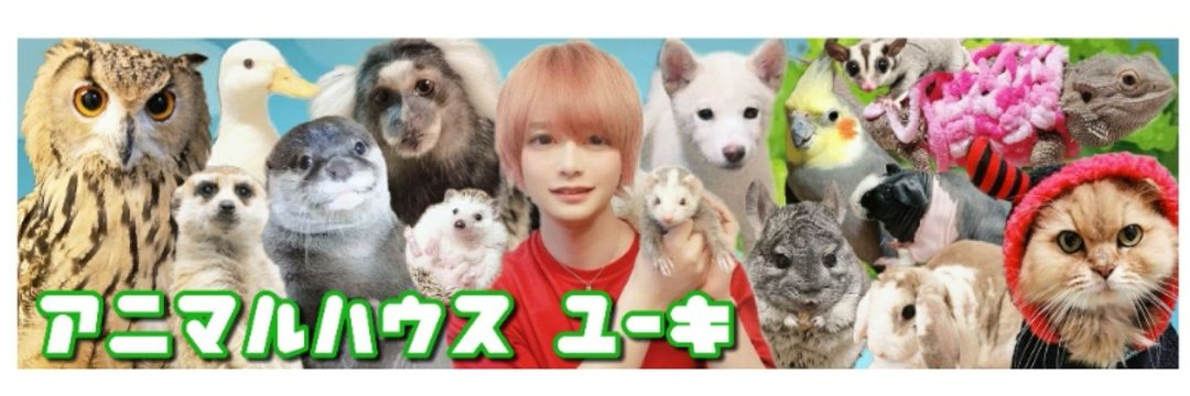 アニマルハウスユーキ(森田優基)'s banner