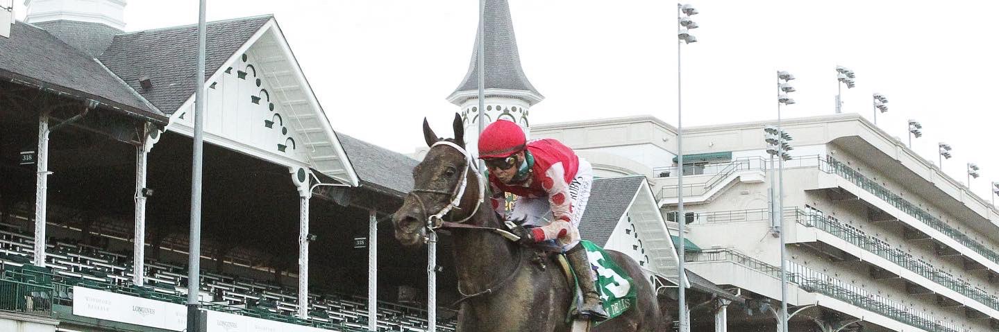 Bloom Racing Stable's banner