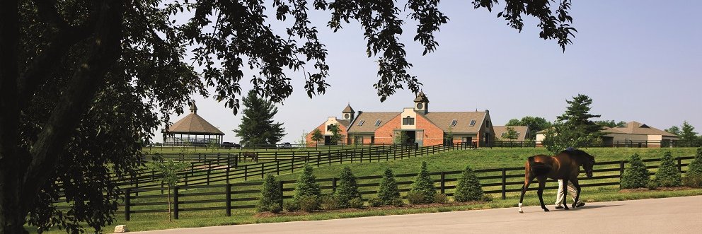 Darley in America's banner