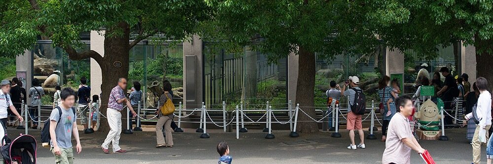 毎日パンダ's banner