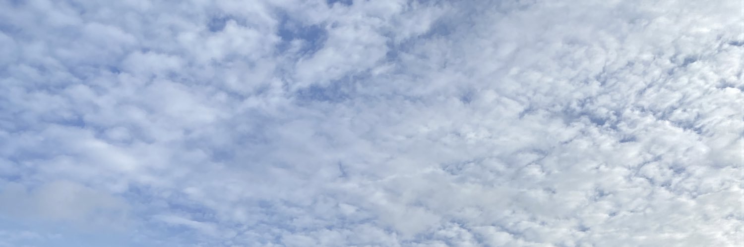 Janni Møller Thomsen's banner