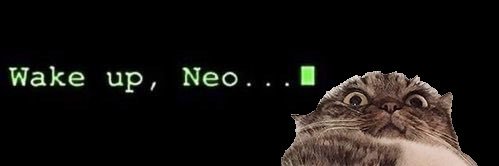 FMC (📈,📈)'s banner