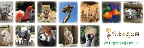 到津の森公園's banner