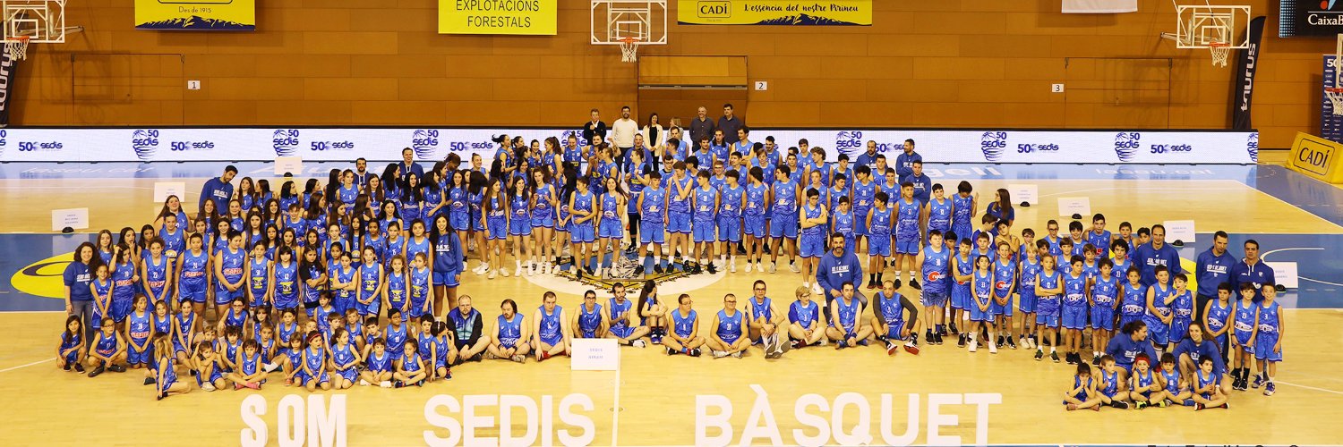 AE Sedis Bàsquet's banner