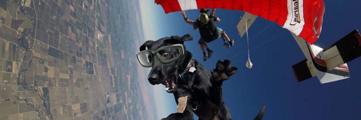 Taylor Vincent's banner