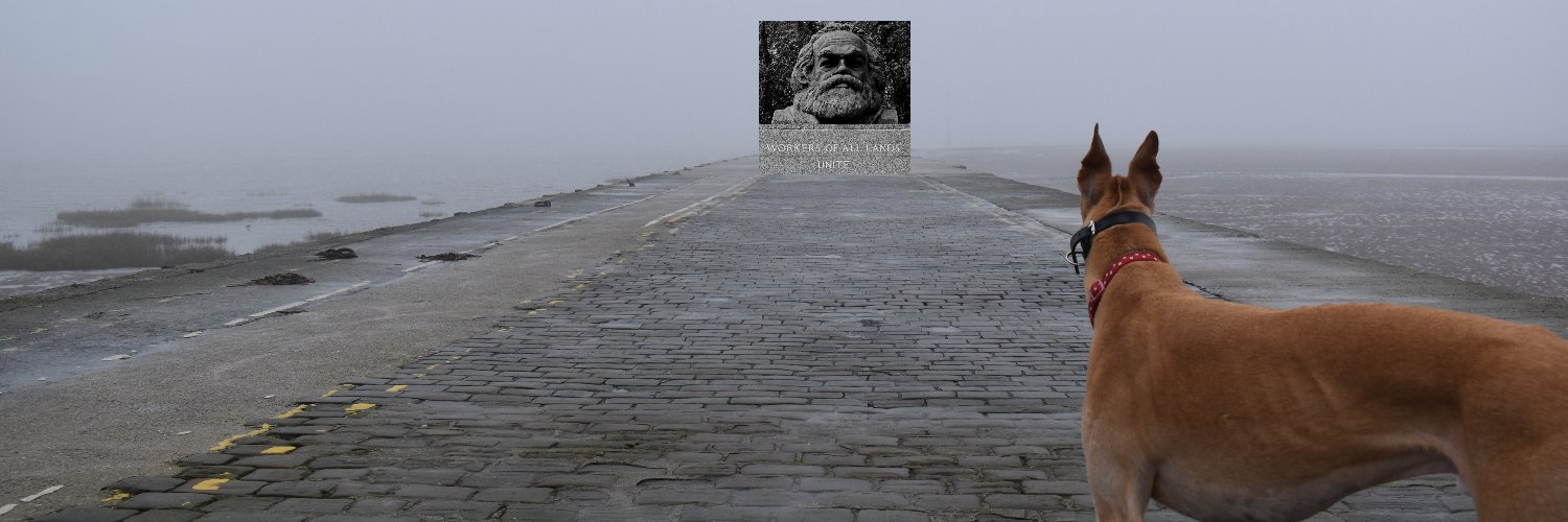 Saul Staniforth's banner