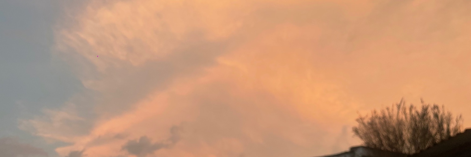 La hermosa princesa exclamó:'s banner