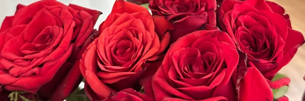 ♚❥ 🦋 Nilaay ᥫ᭡'s banner