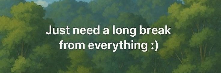 aang's banner