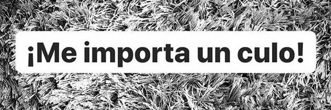 Cata Strofica's banner