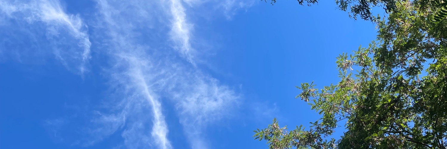 Mariana C.'s banner
