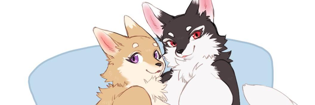 月白しのん🧪🐾🩵🩷's banner
