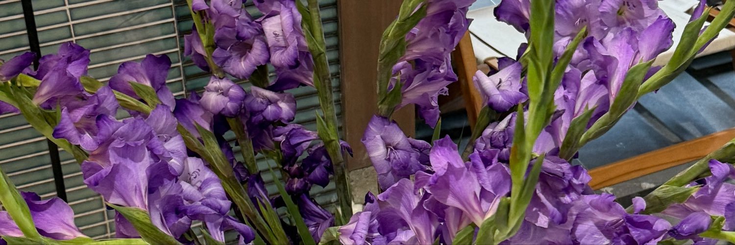 Туяа's banner