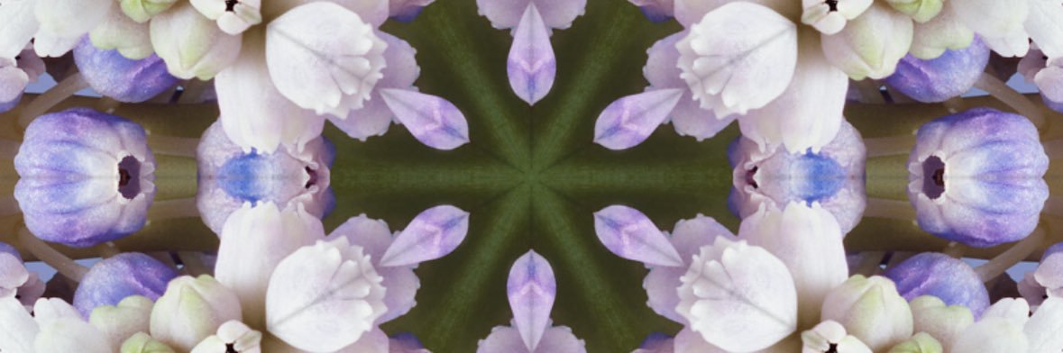 Ayşegül Aykaç's banner