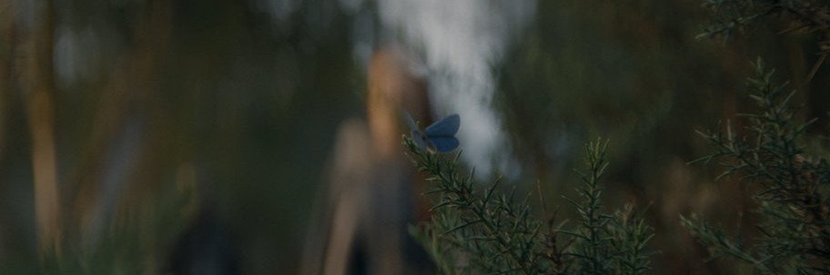 ً's banner
