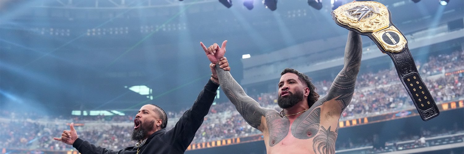 WWE Network's banner