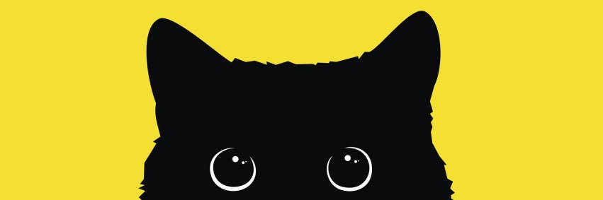 y.'s banner