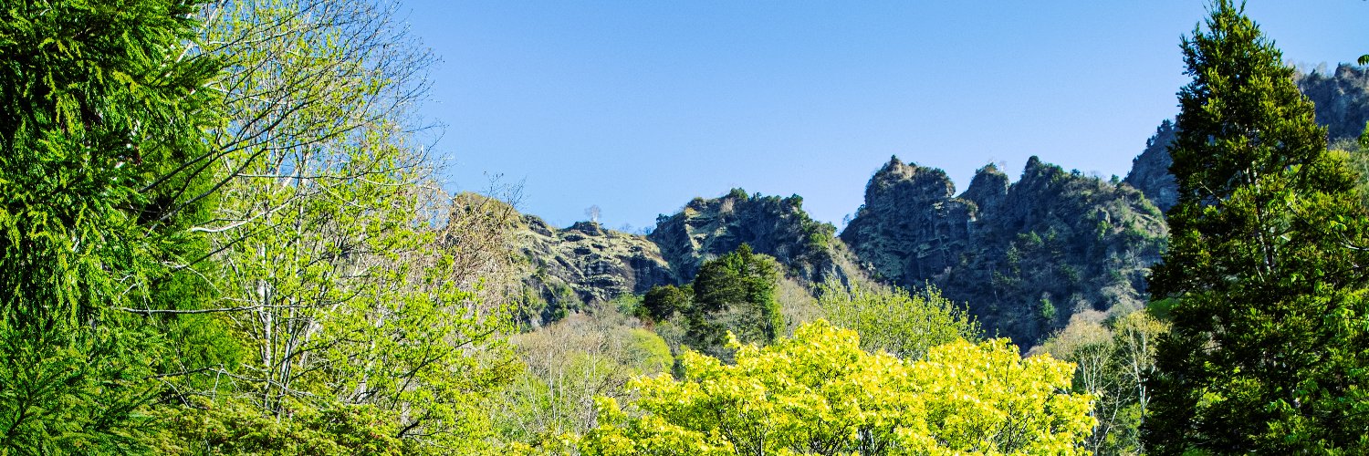 戸隠観光協会's banner
