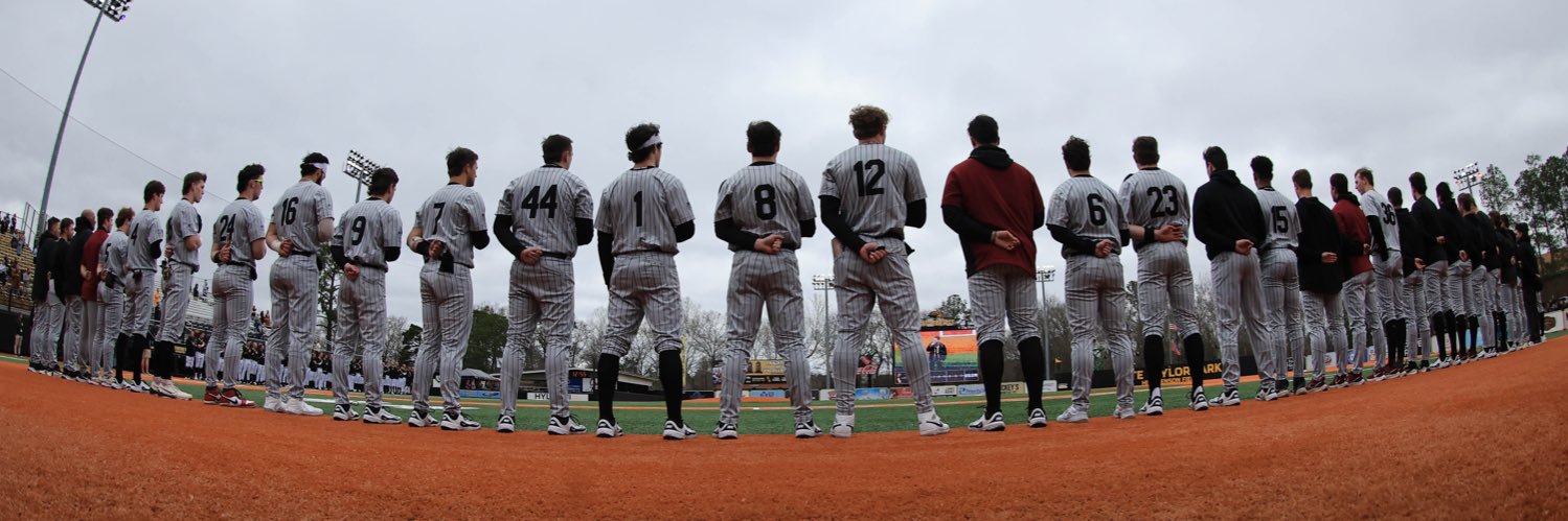 Lafayette Baseball's banner